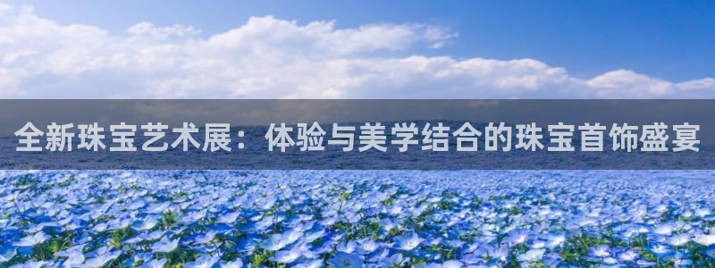 天宏娱乐徐叔
