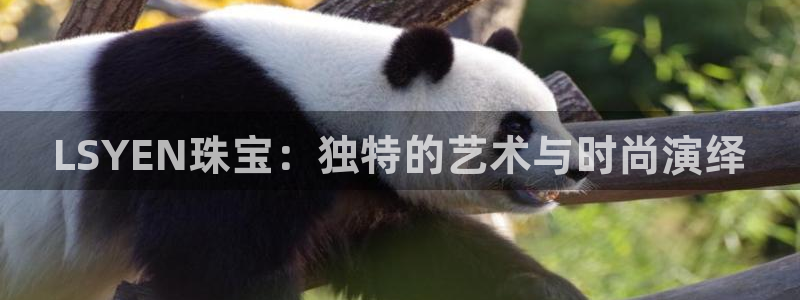 天宏娱乐有限公司