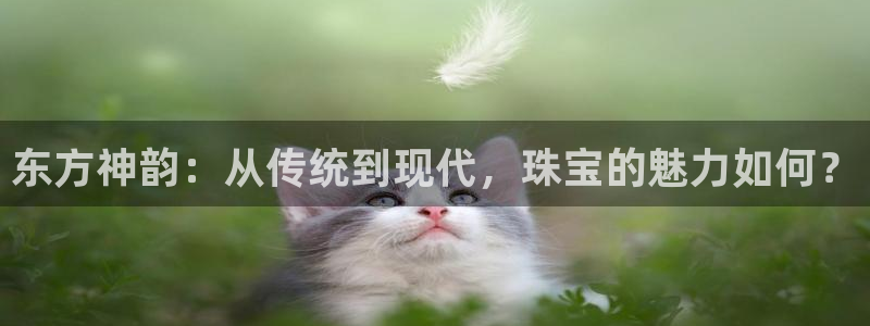 天宏娱乐福叔：东方神韵：从传统到现代，珠宝的魅力如何？