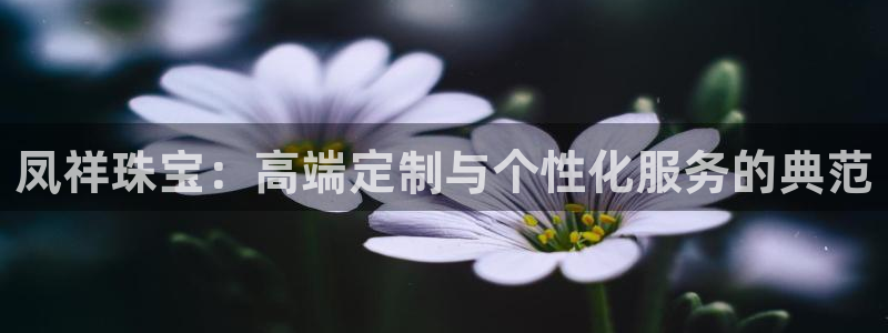 天宏娱乐平台