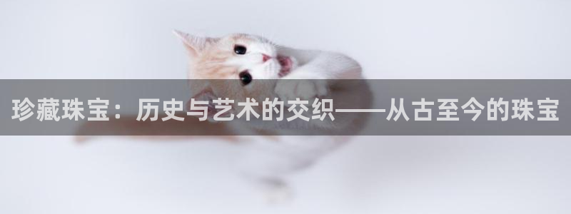 天宏娱乐大叔团成员