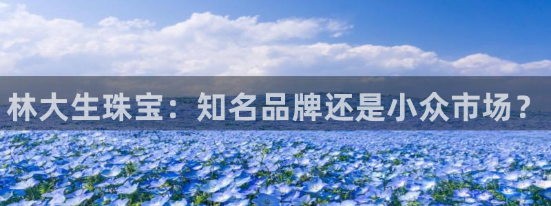 天宏娱乐河源店地址查询：林大生珠宝：知名品牌还是小众市场？