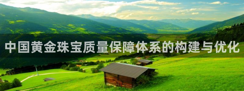 天宏娱乐玉海娱乐：中国黄金珠宝质量保障体系的构建与优化