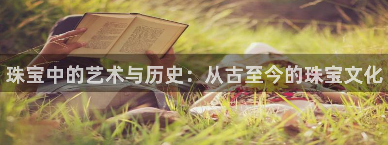 天鲸正宏娱乐是什么