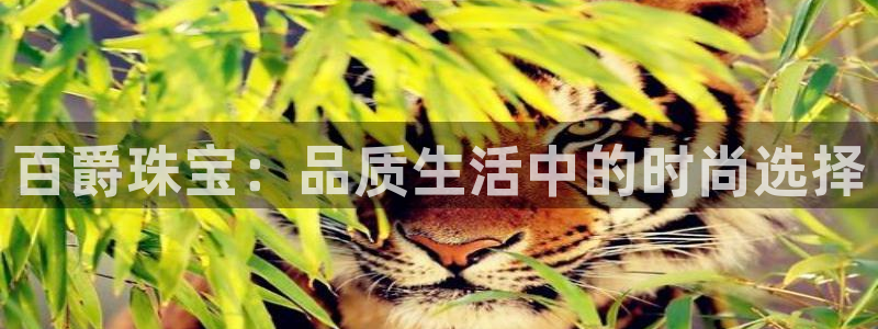 天宏娱乐主管q844389