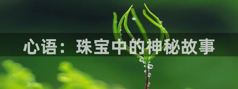 天玺娱乐彩票宏利团队