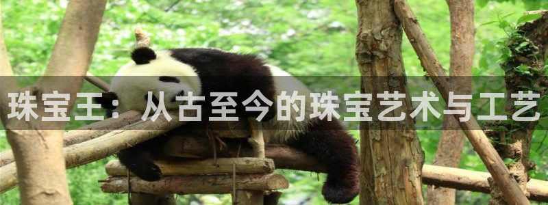 天宏娱乐董事长