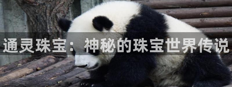 天宏娱乐会所电话号码