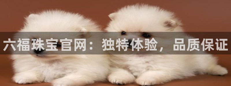 天宏娱乐注册官方