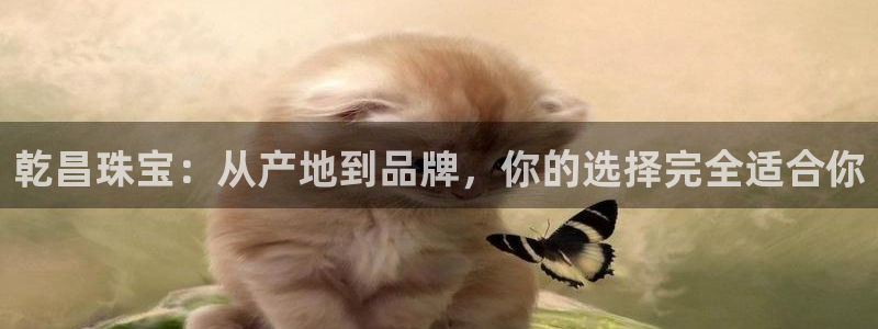 天宏娱乐指挥官