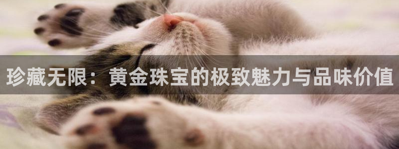 天宏娱乐乐天跃娱乐