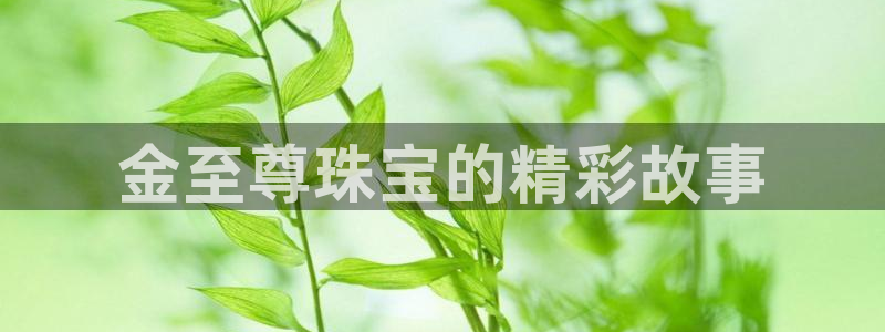 天宏娱乐王总：金至尊珠宝的精彩故事