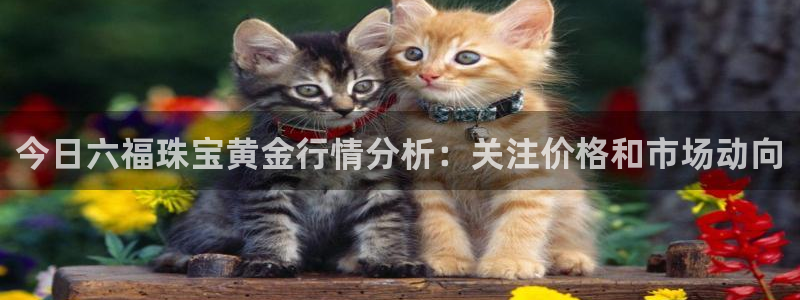天宏娱乐 直播间:今日六福珠宝黄金行情分析:关注价格和市场动