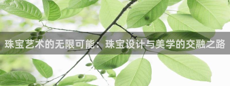 天宏娱乐团购价格多少:珠宝艺术的无限可能:珠宝设计与美学的交