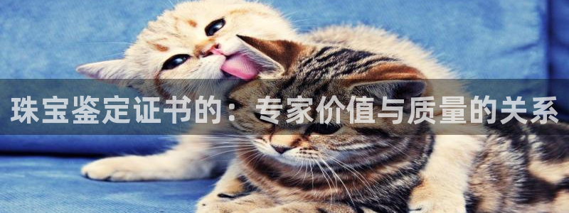 天宏娱乐天跃传媒招聘
