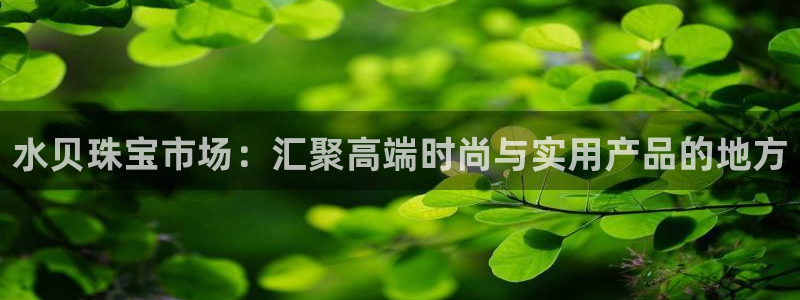 天宏娱乐言叔