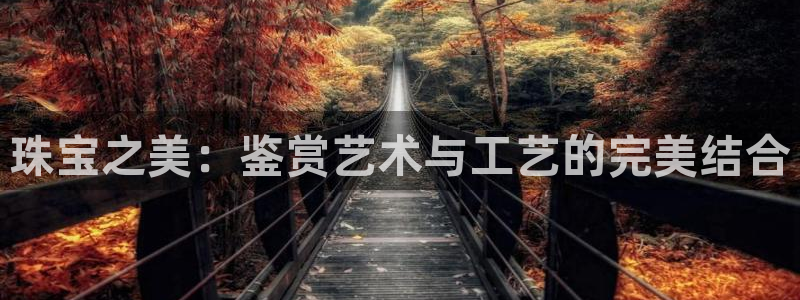 天宏娱乐主管q844389