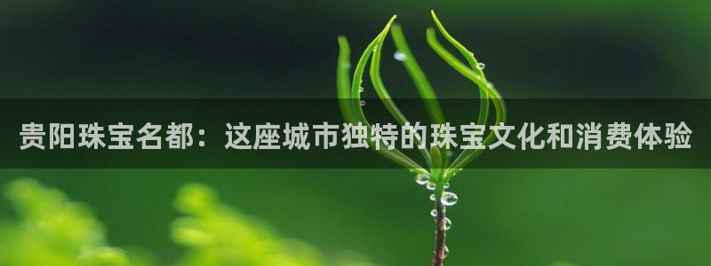 天宏娱乐场所