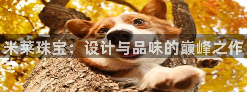 天宏3娱乐登录