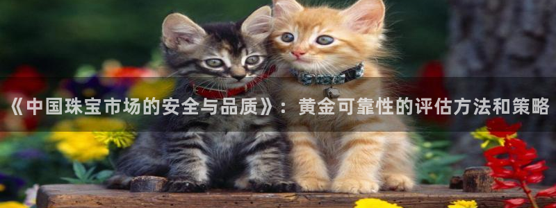 西安天宏娱乐团：《中国珠宝市场的安全与品质》：黄金可靠性的评