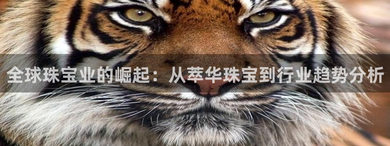 天宏娱乐平叔