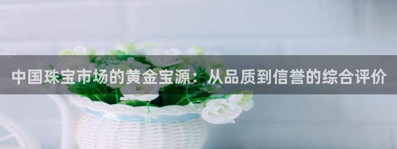 天宏娱乐传媒旗下艺人