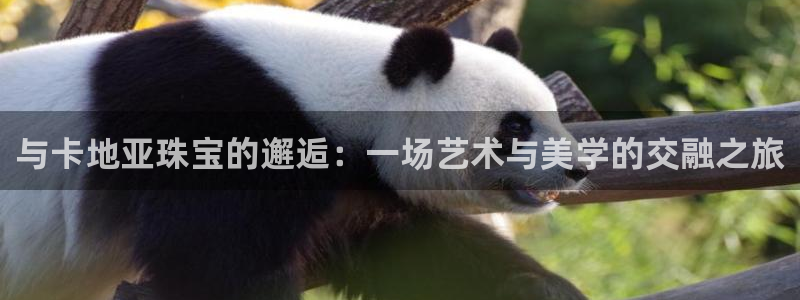 天宏娱乐老秦