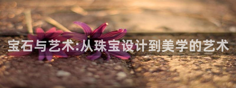 金叔直播天宏娱乐直播