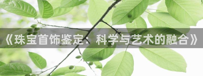 天宏娱乐石叔是谁：《珠宝首饰鉴定：科学与艺术的融合》