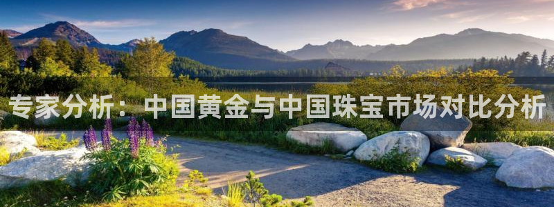 天宏娱乐e OO判官：专家分析：中国黄金与中国珠宝市场对比分