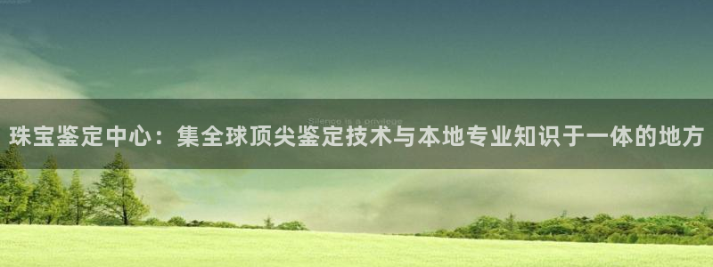 天宏娱乐关先生