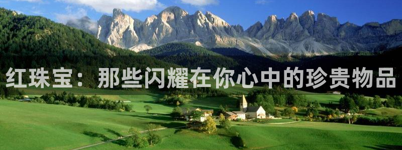 天宏娱乐m 判官