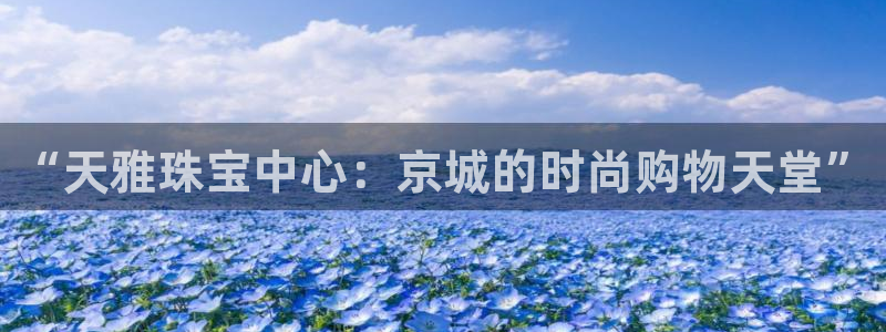 天亿娱乐宏发团队招聘