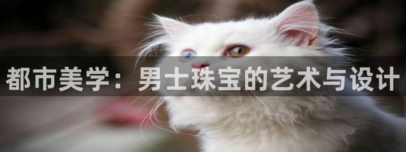 天宏集团黑骑士娱乐