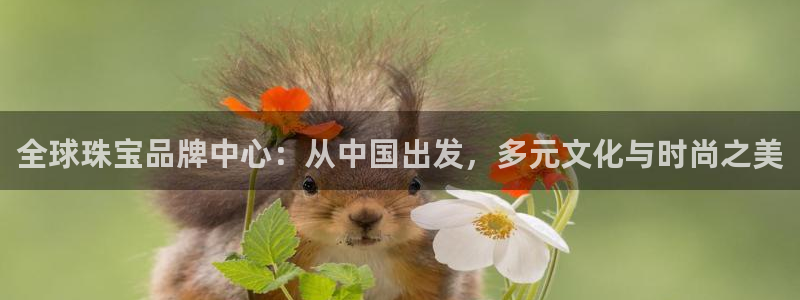 天宏娱乐l 判官