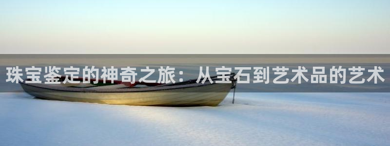 天宏娱乐老男孩成员