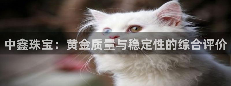 天宏娱乐直播间怎么进入