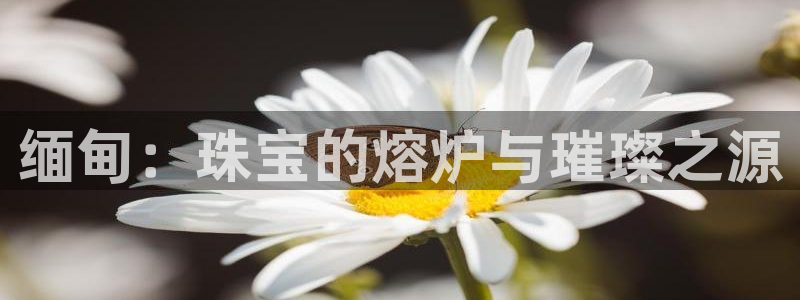 天宏娱乐k 判官