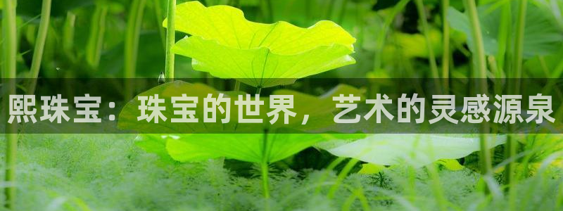 天亿娱乐宏发团队招聘