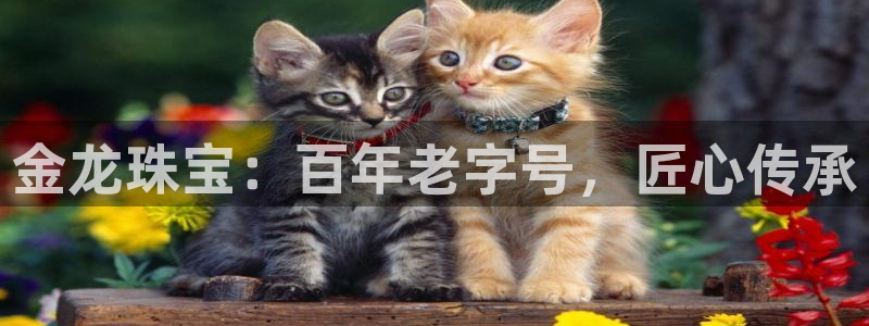 广州宏创天美娱乐文化