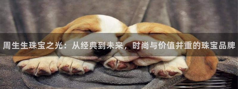 天宏娱乐平台下载