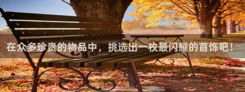 天宏娱乐创始人简介