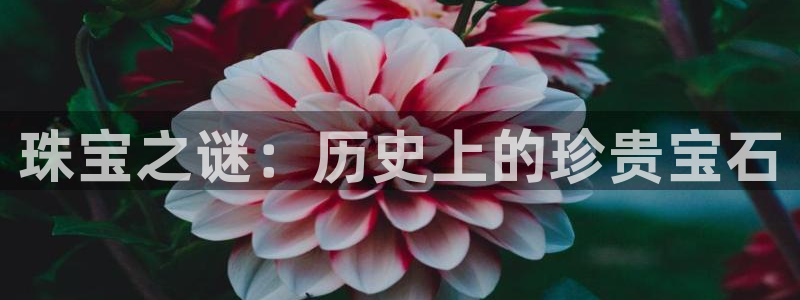 天宏娱乐有限公司