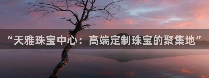 天亿娱乐宏发骗子