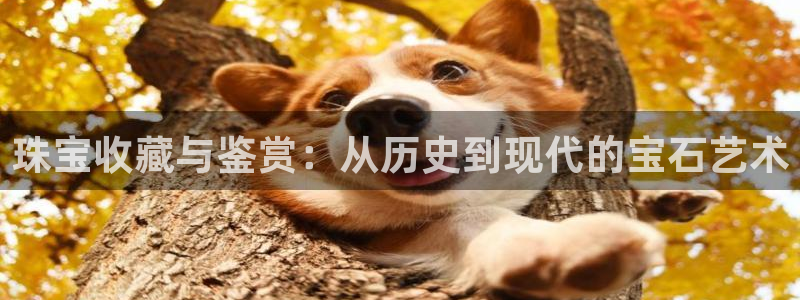 宏天广场娱乐会所电话：珠宝收藏与鉴赏：从历史到现代的宝石艺术