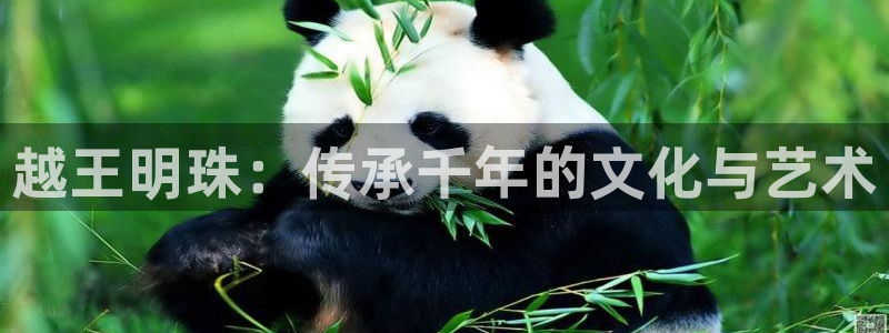 天宏娱乐选择千捷网络