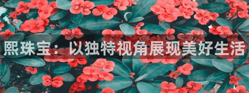 天鲸正宏娱乐是什么