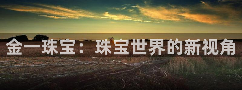 天宏娱乐彬彬叔