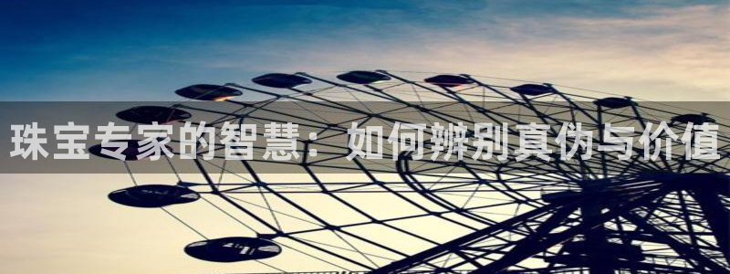 天宏娱乐集团创始人