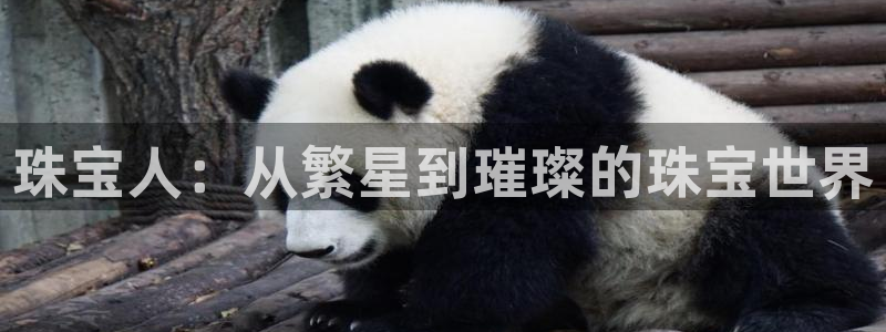 天宏娱乐传媒岳阳